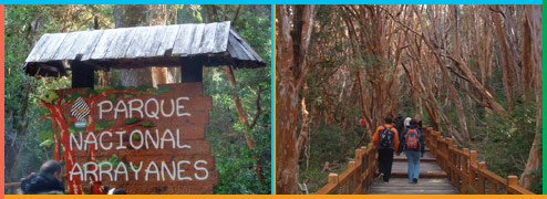 Parque Nacional Los Arrayanes en Bariloche