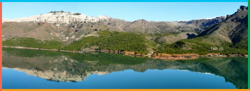 Camino de los Siete Lagos en Bariloche